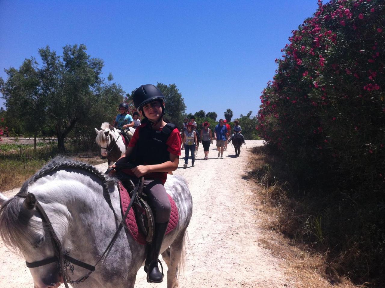 Ag Galeon Daire Playa de Gandia Dış mekan fotoğraf
